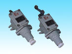 8077/1-Series Explosion-Proof Limit Switches For Plants